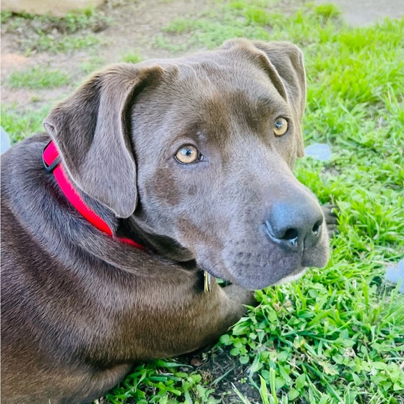 Meet your Posher, Samantha - Picture 6 of 15